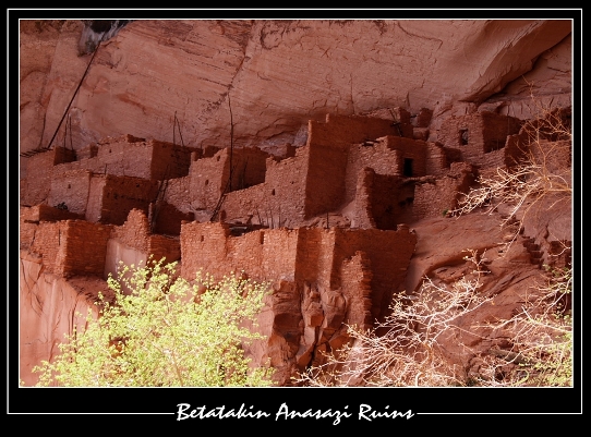 Betatakin Ruins 1 by Rankinstudio