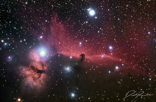 Horsehead nebula by Rankin
